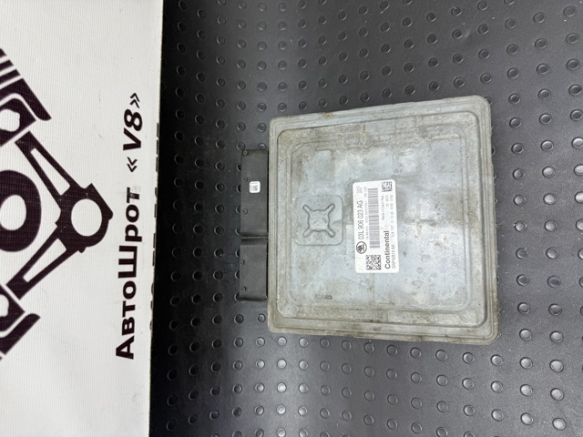 Мізки двигуна 03L906023AG VAG