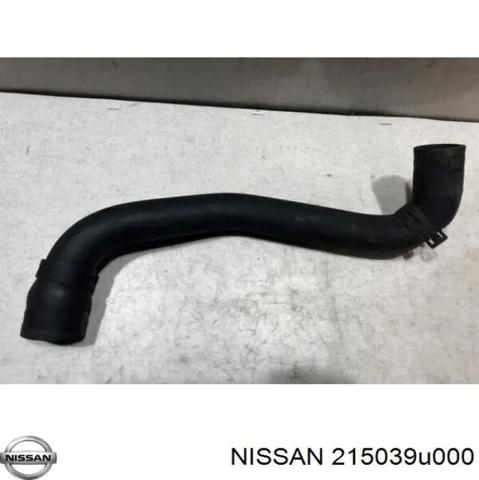 Шланг/патрубок радіатора охолодження, нижній 215039U000 NISSAN