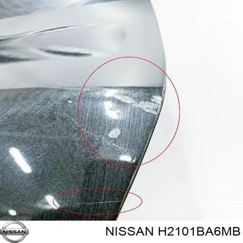 Двері задні H2101BA6MB NISSAN