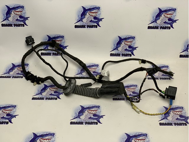 Електропроводка задніх дверей 61129323481 BMW