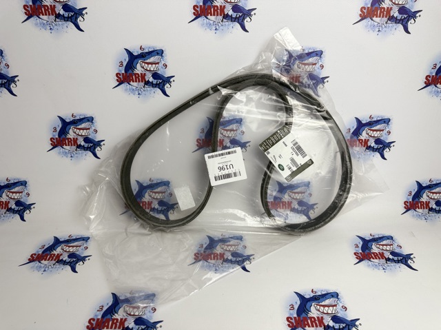 Поліклиновий ремінь C2C37055 JAGUAR