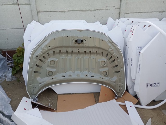 Капот 651006RR0A NISSAN