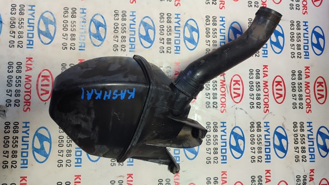 Резонатор 1021735S01 NISSAN