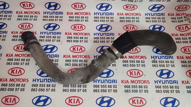 Трубка, що нагнітається 14460JD71A NISSAN