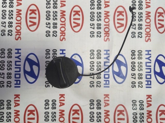 Кришка бензобаку 172511JY0A NISSAN