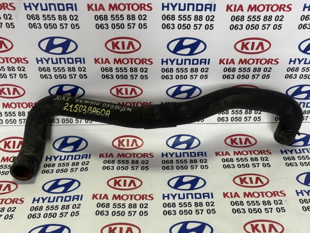 Шланг/патрубок радіатора охолодження, нижній 21503BA60A NISSAN