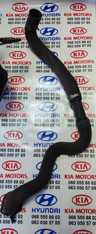 Шланг/патрубок радіатора охолодження, нижній 21503JD000 NISSAN