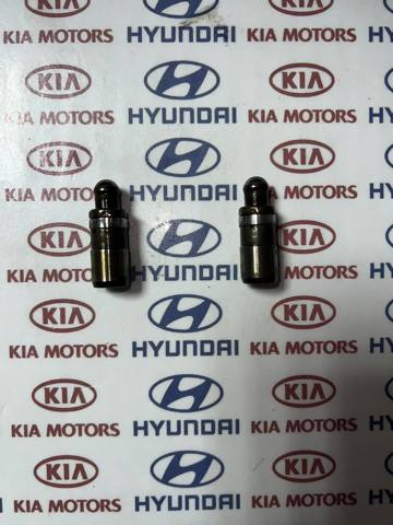 Компенсатори 246102E000 HYUNDAI