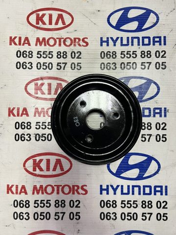 Шків водяної помпи Hyundai Santa Fe 2