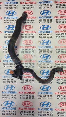 Шланг/патрубок радіатора охолодження, верхній 254110X000 HYUNDAI