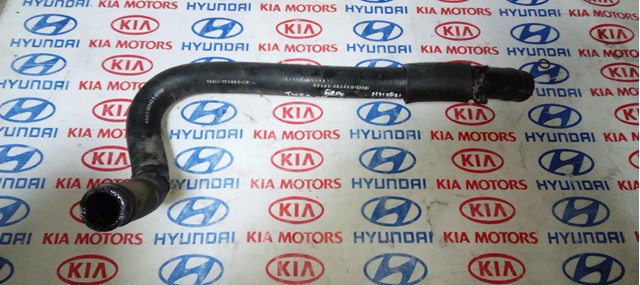 Шланг/патрубок радіатора охолодження, верхній 254112E101 HYUNDAI