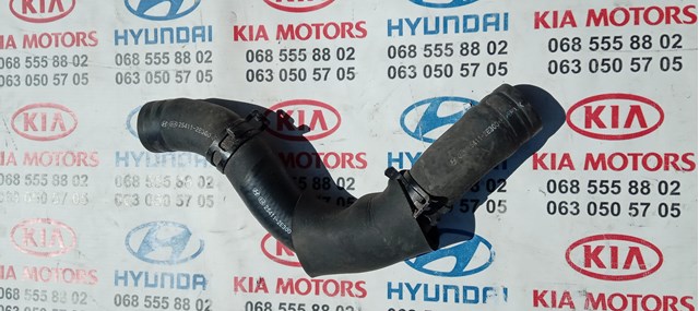 Шланг/патрубок радіатора охолодження, верхній 254112E350 HYUNDAI