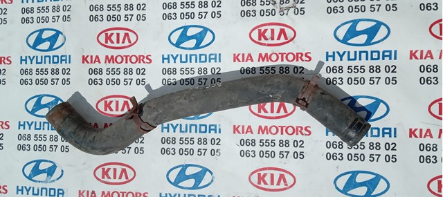Шланг/патрубок радіатора охолодження, нижній 254121E100 HYUNDAI