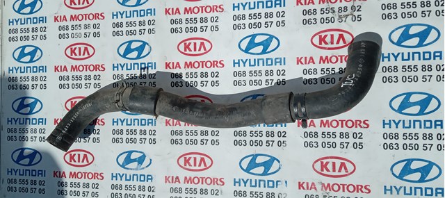 Шланг/патрубок радіатора охолодження, нижній 254121F350 HYUNDAI