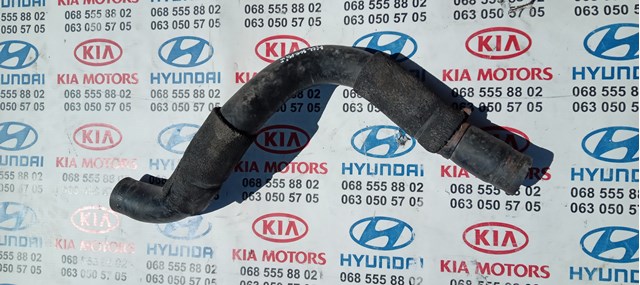 Шланг/патрубок радіатора охолодження, нижній 2541226010 HYUNDAI
