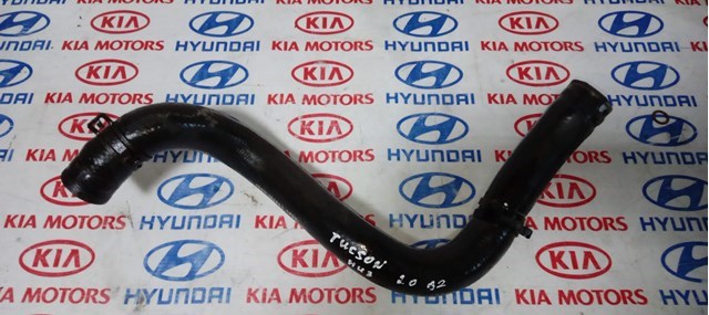Шланг/патрубок радіатора охолодження, нижній 254122E100 HYUNDAI