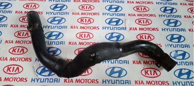 Шланг/патрубок радіатора охолодження, нижній 254122G100 HYUNDAI