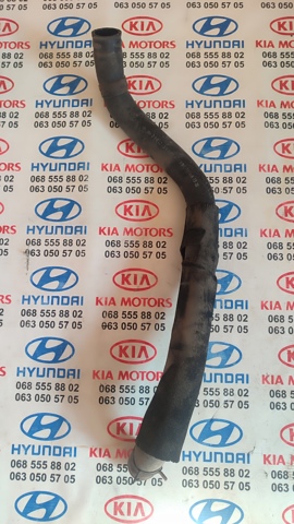 Шланг/патрубок радіатора охолодження, нижній 254122K000 HYUNDAI