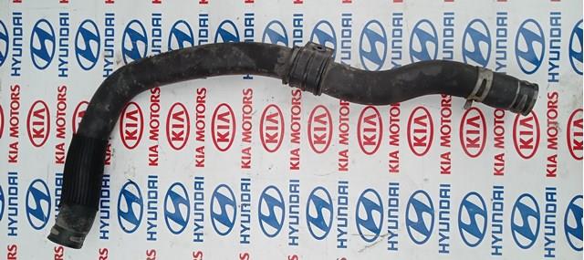 Патрубок системи охолодження 254143S110 HYUNDAI