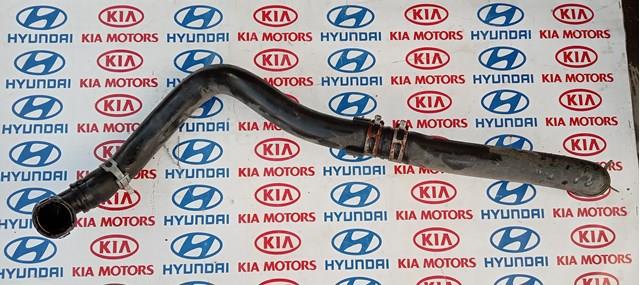 Шланг/патрубок радіатора охолодження, нижній 254153S110 HYUNDAI