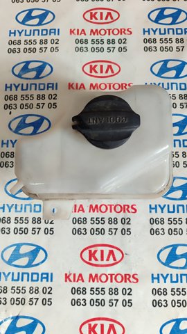 Бачок системи охолодження двигуна розширювальний 254302T000 HYUNDAI