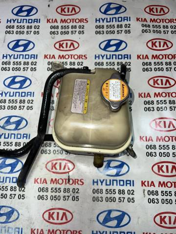 Водяний бачок системи охолодження 254312E100 HYUNDAI