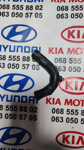 Шланг (патрубок) обігріву дросельної заслінки 254682B000 HYUNDAI