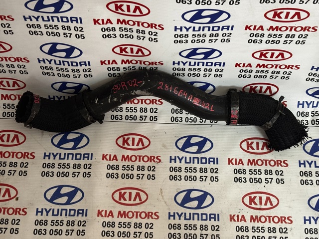 Шланг/патрубок интеркуллера 281644A420 HYUNDAI