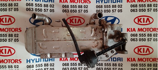 Радіатор системи рециркуляції ОГ 284162F100 HYUNDAI