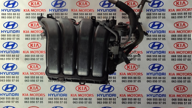 Клапан абсорбера паливних парів 289102E000 HYUNDAI