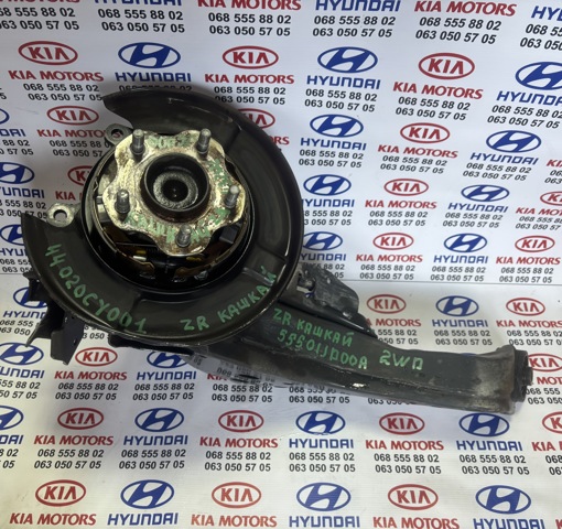 Захист гальмівного диска заднього, правого 44020CY001 NISSAN