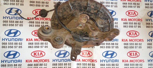Цапфа - поворотний кулак заднім виходом, 527202H000 HYUNDAI