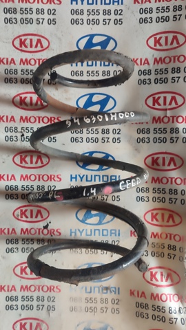 Пружина передня 546301H000 HYUNDAI