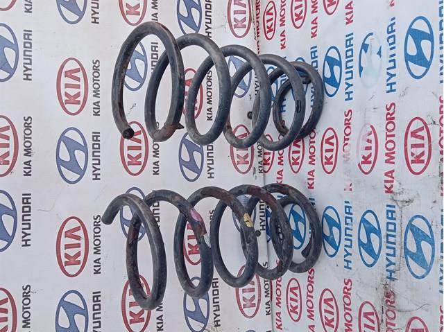 Пружина підвіски задня 553302B521 HYUNDAI