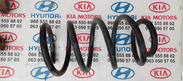 Пружина підвіски задня 553302P320 HYUNDAI