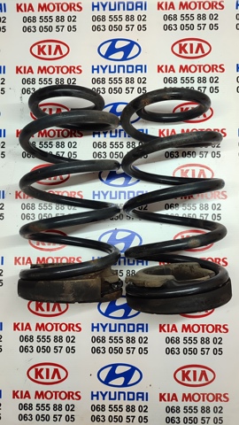 Пружина задня 553302P450 HYUNDAI