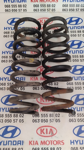 Пружина задня 553502G130 HYUNDAI
