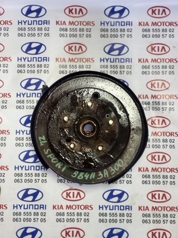 Дискові гальма Hyundai Santa Fe 1
