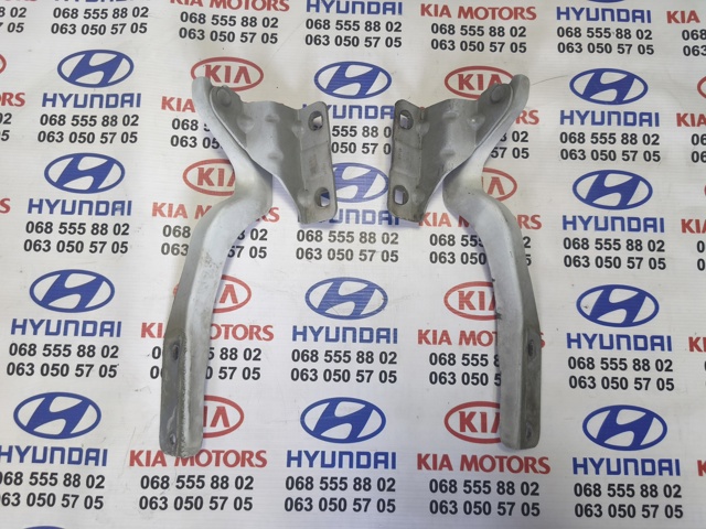 Завіса капота права 65400JD000 NISSAN