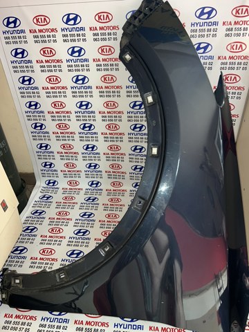Бічна частина передня ліва 663104Z000 HYUNDAI