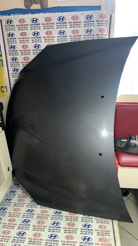 Капот 664002G010 HYUNDAI