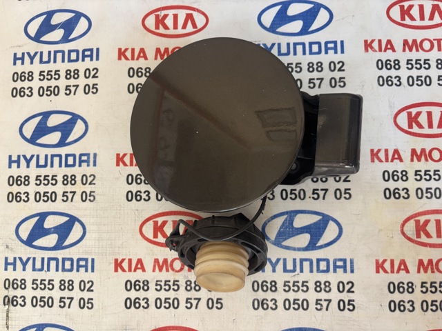 Лючок паливного бака 695102K000 HYUNDAI