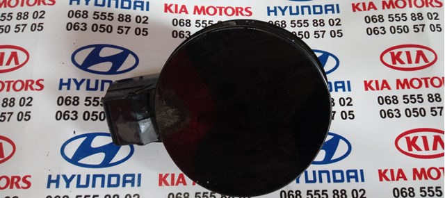 Горловина паливного бака 695132P000 HYUNDAI