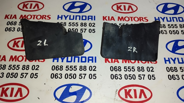 Бризковики задній, правий 76856BR00A NISSAN