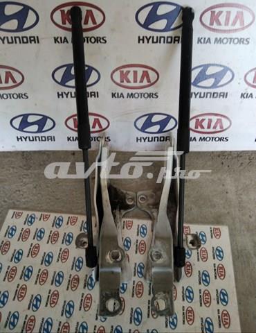 Завіс капота, лівий 791104Z000 HYUNDAI