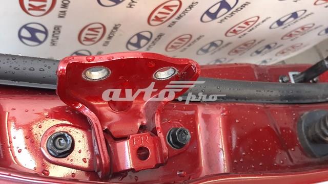Петля задніх дверей, правих 793402B000 HYUNDAI