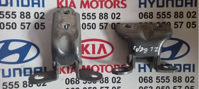 Петля задніх лівих дверей 794102D000 HYUNDAI