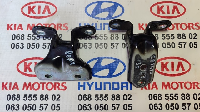 Петля задніх дверей, лівих 794103K000 HYUNDAI