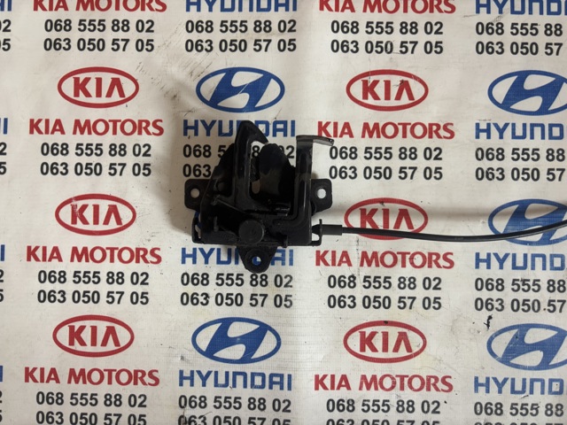 Замок кришки капота 811301H000 HYUNDAI