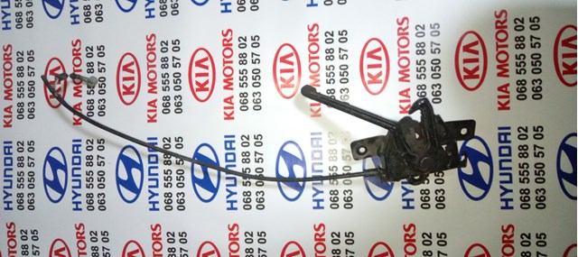 Замок кришки капота 811301J000 HYUNDAI